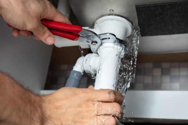 Best Fire Damage Restoration  in Chisago City, MN