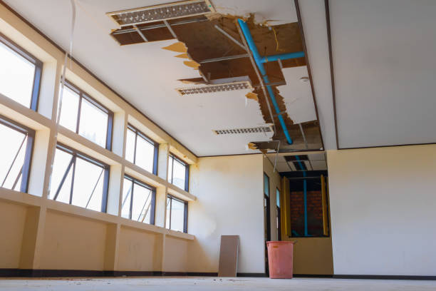 Best Water damage restoration company  in Chisago City, MN