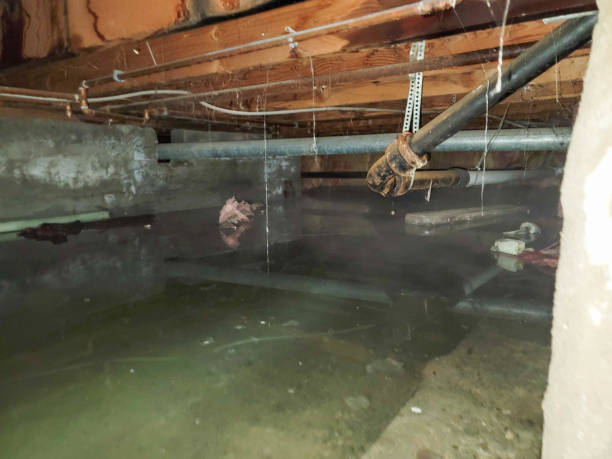 Reliable Chisago City, MN Water damage restoration Solutions