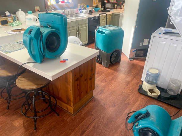 Best Flood damage cleanup  in Chisago City, MN
