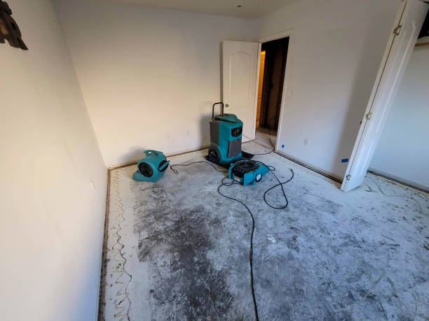Best Water damage restoration insurance claims  in Chisago City, MN