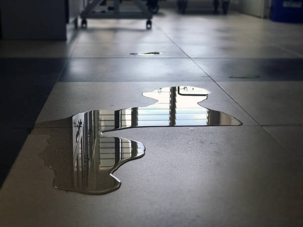 Best Sewage cleanup and water damage restoration  in Chisago City, MN