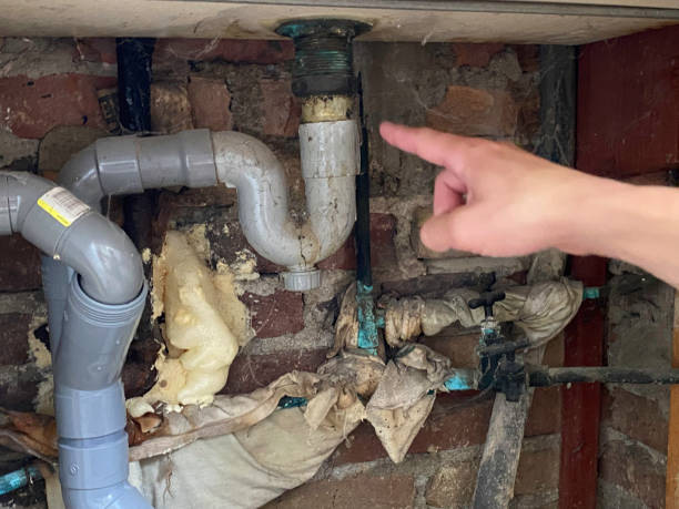 Best Carpet water damage restoration  in Chisago City, MN