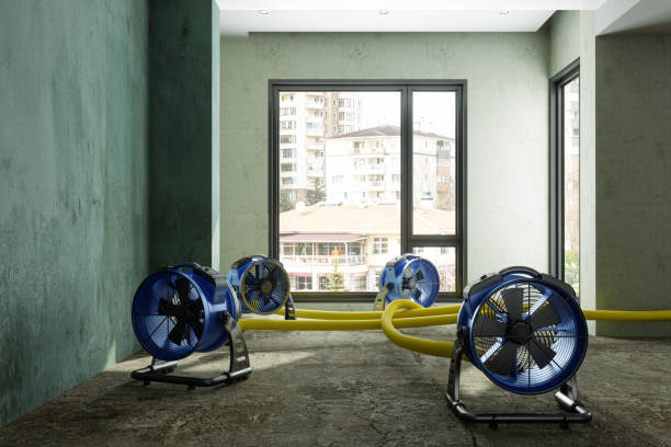 Best Mold removal after water damage  in Chisago City, MN